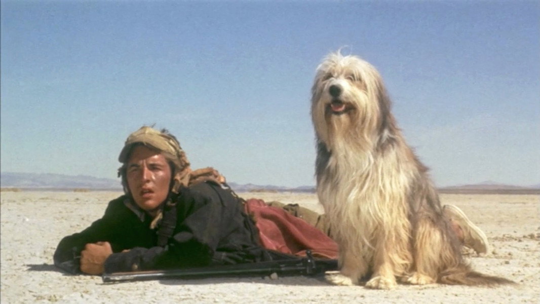 Frame do filme A Boy and His Dog